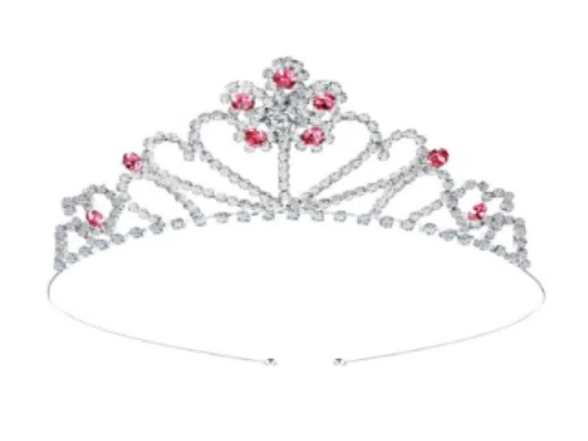 Children’s Silver Tiara Recall